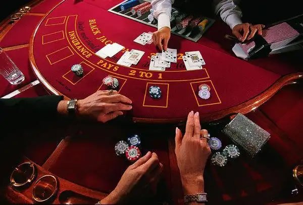 Dashboard mamajitu menampilkan sportsbook, slot, dan permainan meja langsung